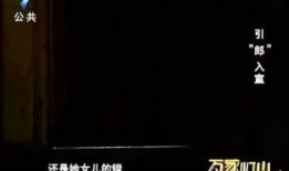 万家灯火养生全部视频,全面视频内容精华汇总